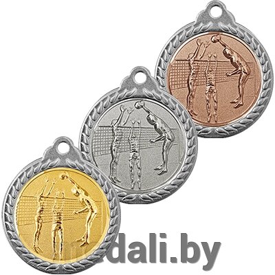 Медаль рельефная волейбол 3372-011-101 от компании ЧП «Квадроком-пром» - фото 1