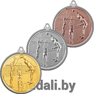 Медаль рельефная волейбол 3372-111-101 от компании ЧП «Квадроком-пром» - фото 1