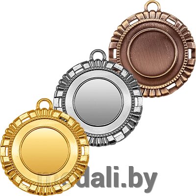 Медаль Вишалья 3469-050-100 от компании ЧП «Квадроком-пром» - фото 1