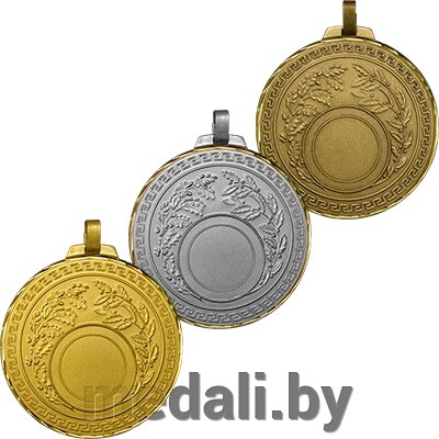 Медаль Воль 3409-070-100 от компании ЧП «Квадроком-пром» - фото 1