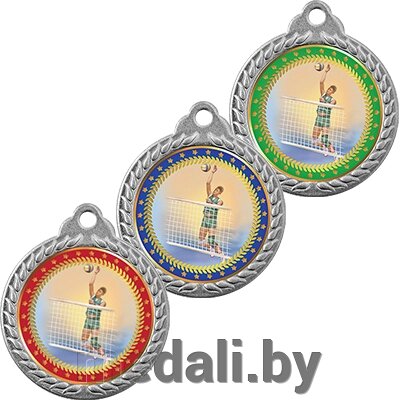 Медаль волейбол 3372-403-005 от компании ЧП «Квадроком-пром» - фото 1
