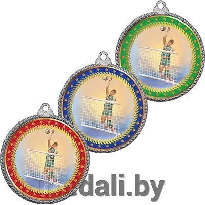 Медаль волейбол 3372-503-002 от компании ЧП «Квадроком-пром» - фото 1