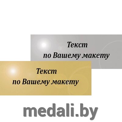 Металлическая табличка с Вашим текстом 1010-0М1-100 от компании ЧП «Квадроком-пром» - фото 1