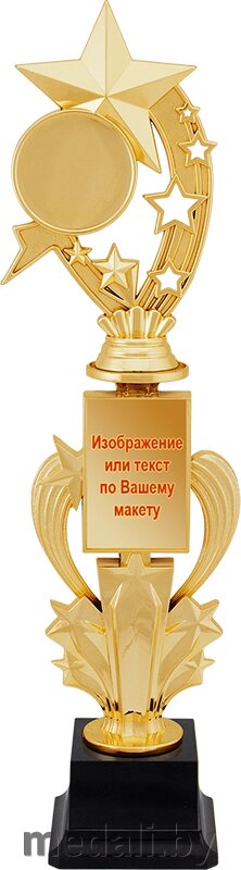 Награда 1423-400-100 от компании ЧП «Квадроком-пром» - фото 1