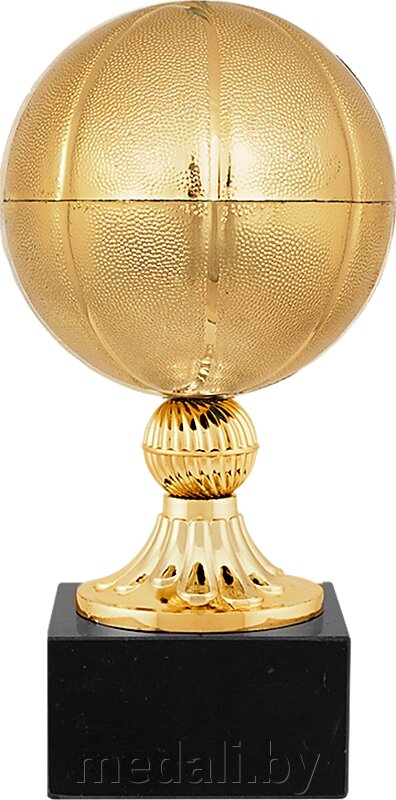 Награда Баскетбол 1455-210-Б00 от компании ЧП «Квадроком-пром» - фото 1
