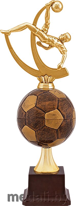 Награда Футбол 1447-360-Ф00 от компании ЧП «Квадроком-пром» - фото 1