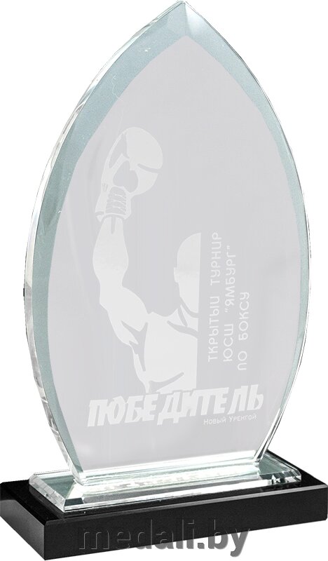 Награда из стекла 1662-180-ГР0 от компании ЧП «Квадроком-пром» - фото 1