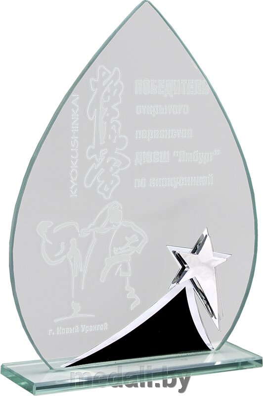 Награда из стекла 1665-165-ГР0 от компании ЧП «Квадроком-пром» - фото 1