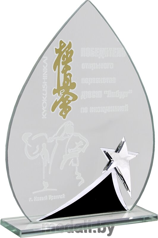 Награда из стекла 1665-165-ГРФ от компании ЧП «Квадроком-пром» - фото 1
