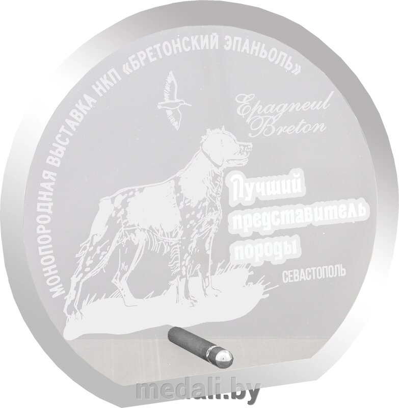 Награда из стекла 1666-130-ГР0 от компании ЧП «Квадроком-пром» - фото 1