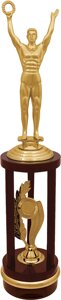 Награда Оскар 2920-530-000