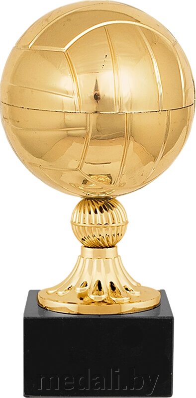 Награда Волейбол 1455-210-В00 от компании ЧП «Квадроком-пром» - фото 1
