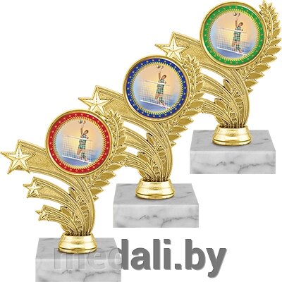 Награда волейбол 1478-140-103 от компании ЧП «Квадроком-пром» - фото 1