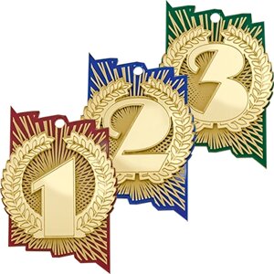 Акриловая медаль 1 Место 1775-000-001