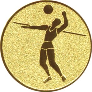 Эмблема волейбол 1111-025-105