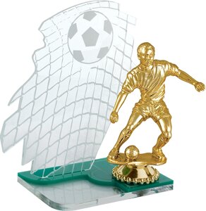 Акриловая награда Футбол 1730-160-000