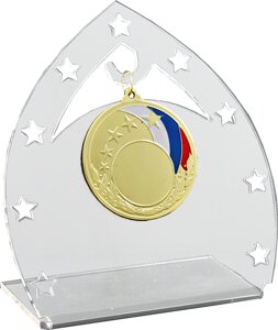Акриловая награда с медалью 1761-125-000
