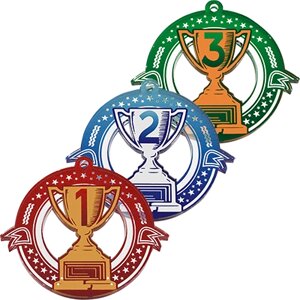 Акриловая медаль Кубок 2 Место 1776-000-002