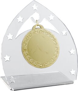 Акриловая награда с медалью 1761-145-000