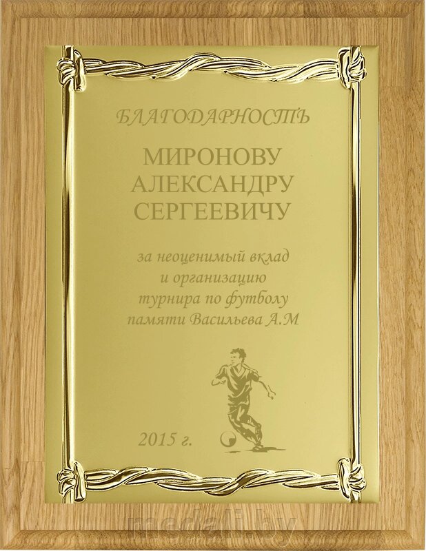 Вариант комплектации плакетки №799 1914-799-300 от компании ЧП «Квадроком-пром» - фото 1