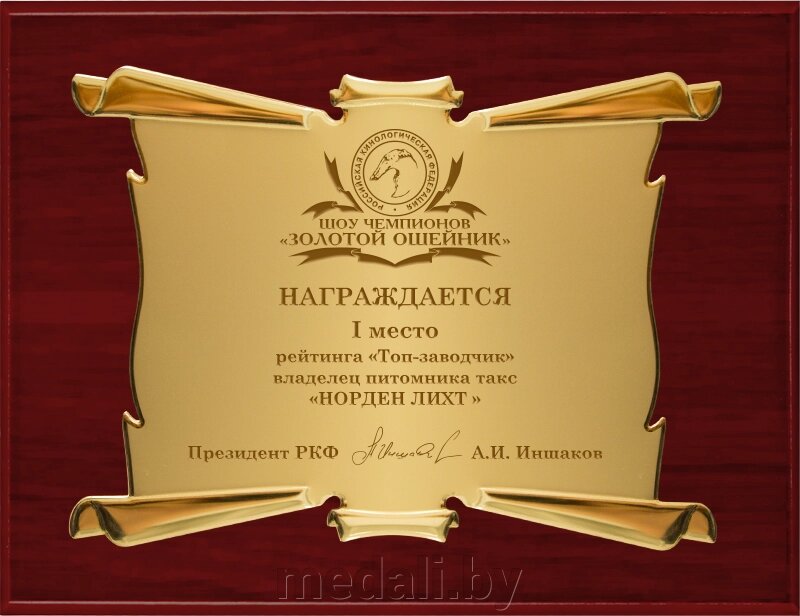 Вариант комплектации плакетки №870 1914-870-230 от компании ЧП «Квадроком-пром» - фото 1