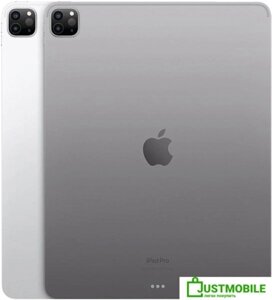Планшет Apple iPad Pro 11" 2022 5G 256GB (серебристый)