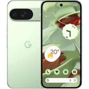 Смартфон Google Pixel 9 12GB/128GB (винтергрин)