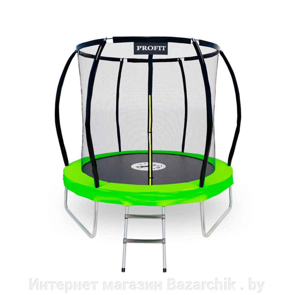 Батут ProFit Premium Green 252 см PRO (8ft) с защитной сеткой и лестницей от компании Интернет магазин Bazarchik . by - фото 1