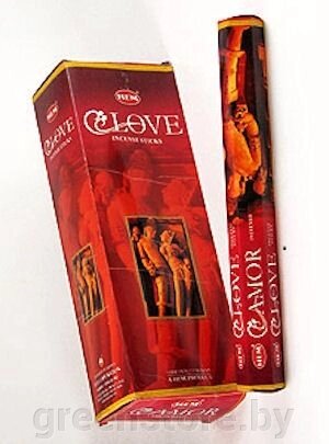 Благовония HEM Любовь (Love), 20 палочек от компании Зеленый магазин Минск - фото 1