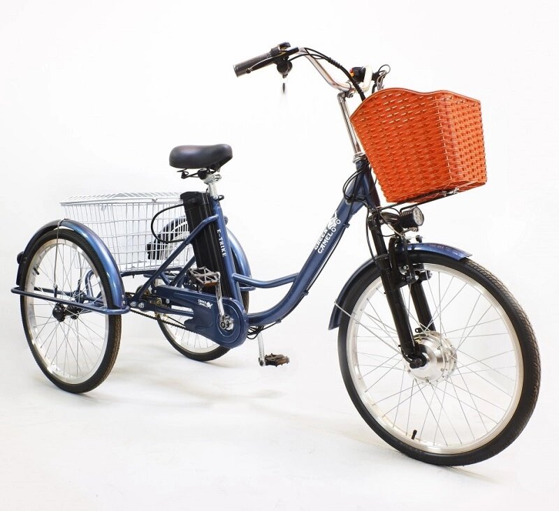 Электровелосипед GreenCamel Trike-24 R24 (250W 48V 10Ah) 7sp синий от компании Интернет-магазин агро-мото-вело-техники - фото 1