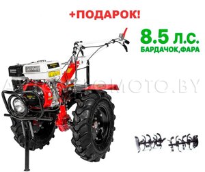Мотоблок Shtenli 1030 - Стандарт в Гомельской области от компании Интернет-магазин агро-мото-вело-техники