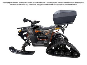 Квадроцикл Motoland Wild 125 без ПТС ЗИМНЯЯ КОМПЛЕКТАЦИЯ в Гомельской области от компании Интернет-магазин агро-мото-вело-техники