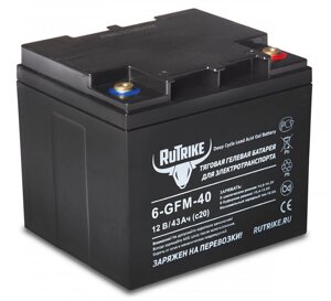 Тяговый гелевый аккумулятор RuTrike 6-GFM-40 (12V43A/H C20)