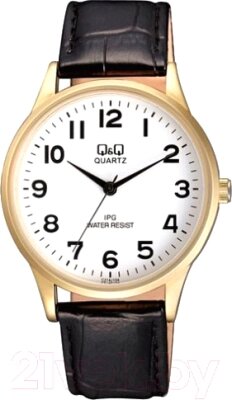 Часы наручные мужские Q&Q C214J104Y от компании Бесплатная доставка по Беларуси - фото 1