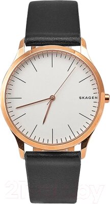 Часы наручные мужские Skagen SKW1102 от компании Бесплатная доставка по Беларуси - фото 1