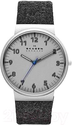 Часы наручные мужские Skagen SKW6097 от компании Бесплатная доставка по Беларуси - фото 1