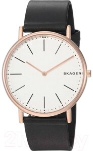 Часы наручные мужские Skagen SKW6430