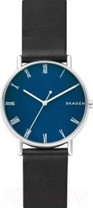 Часы наручные мужские Skagen SKW6434