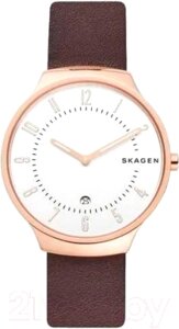 Часы наручные мужские Skagen SKW6458