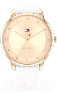 Часы наручные мужские Tommy Hilfiger 1782543