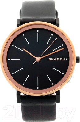 Часы наручные женские Skagen SKW2490 от компании Бесплатная доставка по Беларуси - фото 1