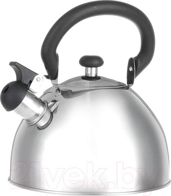 Чайник со свистком Appetite LKD-049 от компании Бесплатная доставка по Беларуси - фото 1