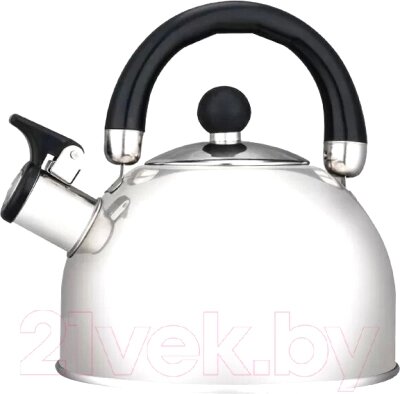 Чайник со свистком Hitt Standard H01021 от компании Бесплатная доставка по Беларуси - фото 1