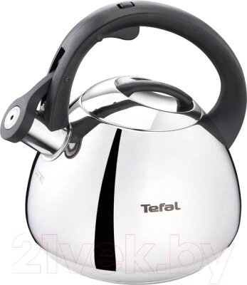 Чайник со свистком Tefal N4180110 от компании Бесплатная доставка по Беларуси - фото 1