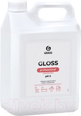 Чистящее средство для ванной комнаты Grass Gloss Concentrate / 125323 от компании Бесплатная доставка по Беларуси - фото 1