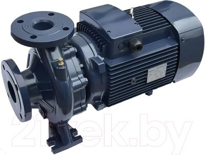 Циркуляционный насос Maxpump F 50-160/55 от компании Бесплатная доставка по Беларуси - фото 1