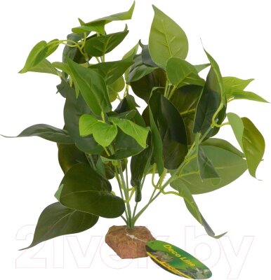 Декорация для террариума Lucky Reptile Golden Pothos / IF-33 от компании Бесплатная доставка по Беларуси - фото 1