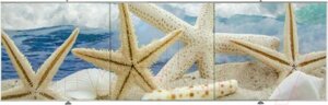 Экран для ванны Comfort Alumin Group Морская звезда 3D 150x50