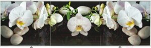 Экран для ванны Comfort Alumin Group Орхидея на черном 3D 150x50