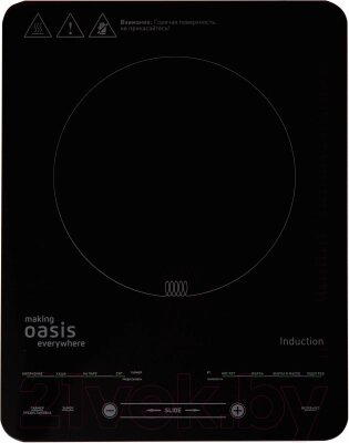 Электрическая настольная плита Making Oasis Everywhere PI-B24SL от компании Бесплатная доставка по Беларуси - фото 1